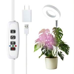 Hicello A琬Cg LED OF[h 5V 5W 10iKPx ϗtApCg USBڑŋd ^C}[@\ (3H /9H /12H) ߉\ vg͔|pv Aip i