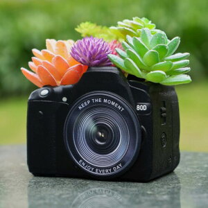 KIKTOP vg |bg ChA A v^[ - J z[  ^t[ |bg ChA fXN Ap {I  Mtg A |bg hi[Wt 12cm iJ1