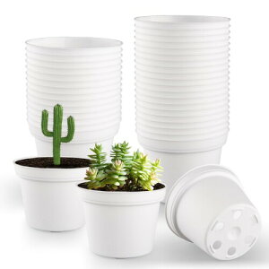 ϗtA c|bg A 2.5 ~jv^[ 60Zbg rt PPvX`bN Aؔ y h }bgdグizCgj