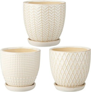 Villa Como Aؔ 픫 v^[ 3.5 3 t    A CeA  ItBX   ()