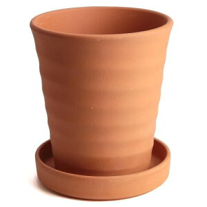  O͏ KANEYOSHI  Aؔ t[[h ԏ 6Mt