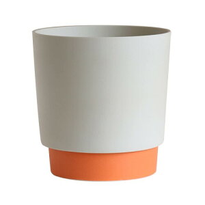 (yamatsu) ground Aؔ 픫 v^[ ꌊ Mt Z 3.5 (MTCY-IW)