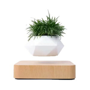 FGY ɕ~ v^[ ϗtA C A  Ebh ؖ  CeA (I[N)