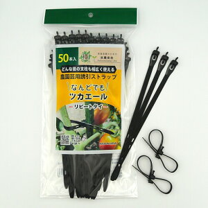 y_y UXgbvuȂǂłcJG[v (50{) s[g^C _|p