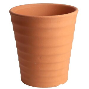  O͏ KANEYOSHI  Aؔ O͏ t[[h ԏ 7