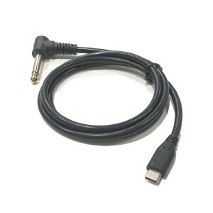 �I�[�f�B�I�t�@�� Type-c �I�X - �I�[�f�B�I�[�q 6.35 mm 2�� �I�X L�� �ϊ��P�[�u�� IC�t�� �S����1m