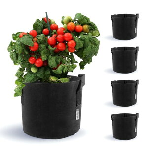 TOMMEN 12K2ZbgsDz|bg v^[ K[fobO tԍ͔| ؍͔| |ʕ͔|  Ä琬 ʋC蔫