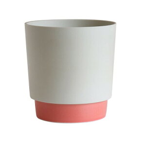 (yamatsu) ground Aؔ  v^[ ꌊL Mt Z 2.5 (STCY-R[sN)