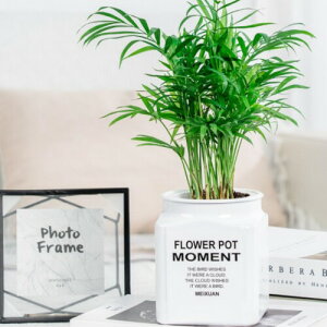 3world t[|bg z vX`bN Aؔ XNGA v^[ SW2425zCg(2Zbg)