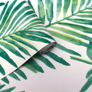 Homya ǎ V[  CNV[g hV[ 45cm*10m tH[V[g hJr JbeBOV[g ̂t t k