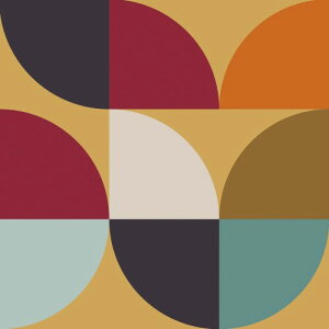 VaryPaper 􉽊w ǎV[ CNV[g ǎ  JbeBOV[g 44.5x200cm Jt  􉽊w͗l EH[XebJ[ ̂t  ϔMV[g  