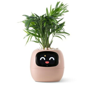 PLANTSIO X}[gybgv^[ {bgKC_X Gt 炵ÂƖLxȃWFX`[C^NVAƂfXNZbgAbvMtg(sN)
