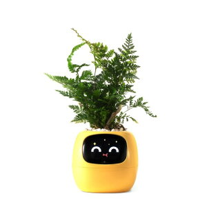 PLANTSIO X}[gybgv^[ {bgKC_X Gt Gt 炵A̒ WFX`[̑ݍp ƂfXNZbgAbvMtg (CG[)