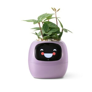 PlantsIO X}[gybgv^[ {bgKC_X GtA̐bALȃWFX`[̑ݍp炵A̒ԁAƂfXNZbgAbvMtg(p[