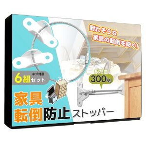 �����N�X�g�b�p�[6�Z�b�g �ω׏d300kg �h�� �n�k�΍�