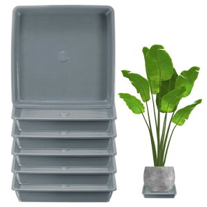 M METERXITY 6パック 植木鉢用ソーサー 6" プラスチック製 正方形 花 水切りトレイ 穴 ない耐久性 ある植木鉢用トレイ 屋内/屋外 植物用(セメントグレー)