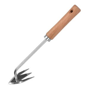 _픲H蓮|[^uK[f@\@Ő蓮@