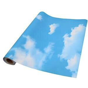 TOKUGAWAMIKAV[ Lb` ւ ǎ (Ɣ_) 45cm×10m 60X5m  NX DIY tH[ ͂ ʏ C ANZg gC  (45cmX10m)