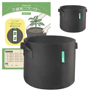 (Urban Leaf) sDzv^[ 5K 2Zbg (29cm×25cm) sDz|bg Jo[ n dD