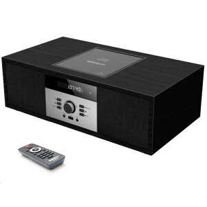 CDv[[ g/Bluetooth/FMXeI/USB MP3Đ/AUX́AwbhtHWbNAƒpRpNgONEBODYVXere[WX^CHiFiXeIVXe (WTB-797Black)