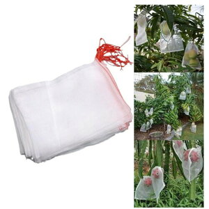 ʕ 50 ʎ hlbg hlbg ʕ یobO یlbg h 悯lbg т  Ԃǂ В 25cm×15cm