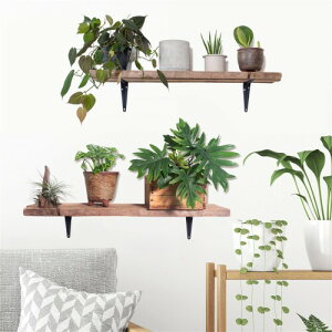 HOTIYOK ins EH[XebJ[ k A  ǃXebJ[   ǂɓ\ Ǐ diy ǎ  V[  j̎q ̎q Q q  EH[ y[p[ A[g ۈ牀 