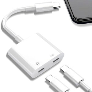 Topamz Type-C to Type-C 2in1 �ϊ��A�_�v�^ ��� ���� �z���C�g