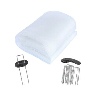 hlbg lbg |G` 3m×c20m Q̐Nh |؍͔|lbg hlbg ۉ h ʂ ƒ؉   |  zCg