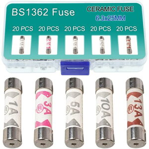 Xiatiaosann 100  BS1362 q[Y 3A 5A 10A 13A 1A AyA 240V {g Z~bNǃq[Y ƒpdvO UK lߍ킹Lbg 6.3x25 mm 0.248x0.984 C`A4 ̒l̃q[Y