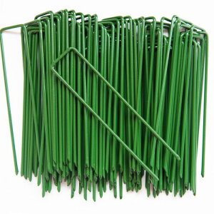 lH s 30{Zbg Niesporek hV[g Œs us s ϋvU^s }`15cmtbN^_Ɨplbgi30{sj