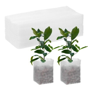 M METERXITY 200pbN̂Ȃ 7.9" x 7.1 "̕sDzAȂ  q̔/ÿڐA/ƒpK[fpi (zCg)