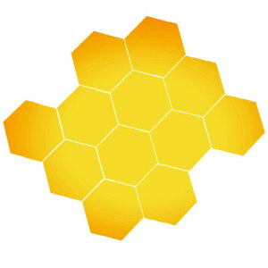 BIRLD EH[ ~[ XebJ[  \t  WALL MIRROR STICKER Ȃ Zp`  12 ( S[h ) LTCY