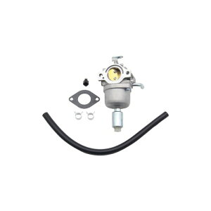 Lu^[ŎŊ@̃ptH[}X 591736 594601 Briggs & Stratton 796587-19.5 HPƌ݊Rƃp[ Lu^[1 KXPbg1 RC1