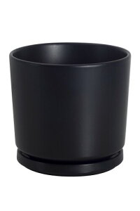 Ekirlin Aؔ 픫 7 18cm 󂯎Mt  t  v^[ A CeA   ϗtA 