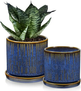 Villa Como Aؔ 픫 v^[ 3.5 4.5 2_Zbg t 󂯎Mt   A CeA  ItBX   lCr[