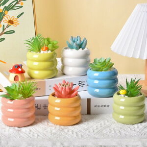 siawadeky 킢 Aؔ 6Zbg  A }JJ[ Z~bNX v^[|bg ی^ T{e ~jAKp K[fjO z[ ItBX ̑ v