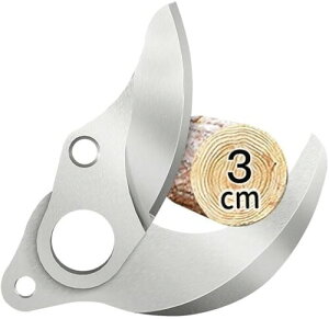 30mmoT~iB0DG8JGWZZpjւn̂ lC 2024NVf 18VؒfãR[hX[doT~ 2iKJpx߉ (ւn̂)