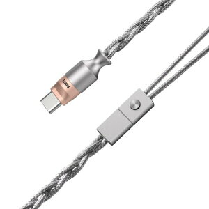 ddHiFi M198C USB-C �C���^�[�t�F�[�X�f�R�[�h�C���z���P�[�u�� �i�C�����҂� Hi-Fi �T�E���h 0.78mm 2Pin �R�l�N�^�[�t�� �����\�f�R�[�h�@�\���� �}�C�N�ʘb�Ή� iPhone�EiPad�E�X�}�[�g�t�H����