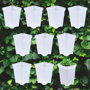 SALUDABLE  Xbg Aؔ ϗtA vX`bN c |bg 10Zbg (c10x10x8.5cm)