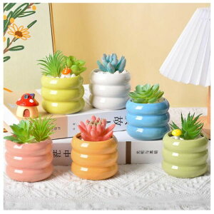 Aؔ 6Zbg 킢 A ꌊt T{e }JJ[ Z~bNX v^[|bg ~jAKp CeA ItBX  K[fjO v[g