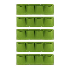 nijimomo Ǌ|v^[ 5Zbg tFg 4|Pbg O ݒu ϗtA (O[)