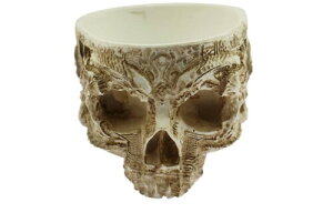 navire  hN XJ v^[ Aؔ CeA