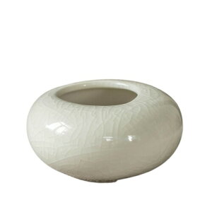 Aؔ ~͔   픫 ^ ~  CeA ~jAKp |pi (o^/F, )