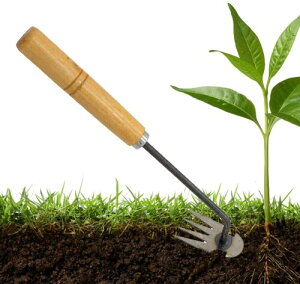 蓹   Ő G  4̒ G XeX |p L[L  RpNgkL K[f yN _@  ނ (1)