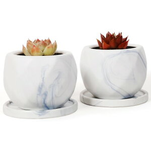 Umlaca Aؔ A   ^ ꌊ~jAؔ T{e  퐻gCt lbgt 2_Zbg AȂ(嗝)