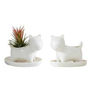 ~jAؔ 2Zbg 킢 q^ A ꌊt T{e  Z~bNX v^[|bg ~jAKp CeA ItBX  fXNgbv̑ K[fj