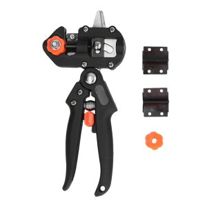 ږ؃nT~ ؍H ڂؗp nT~ |p ͂ }؂΂ K[fjO |  ʎ XeX`[