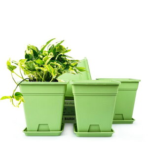 4つのプラスチック植木鉢(16センチメ-トル)室内植木鉢排水孔とトレイ厚プラスチック植木鉢植物多肉植物蛇植物サボテン用 (うすみどり)