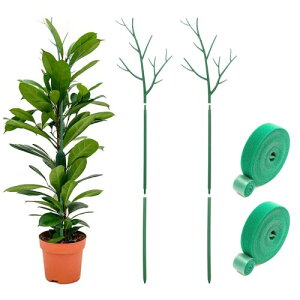 TVETE AT|[g |x ϗtApx 100cm vgX^h t[T|[g 2_Zbg O[