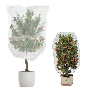 hlbg hlbg 2Zbg AیJo[ |lbgʋCǂ (80*100cm 1t@Xi[t)